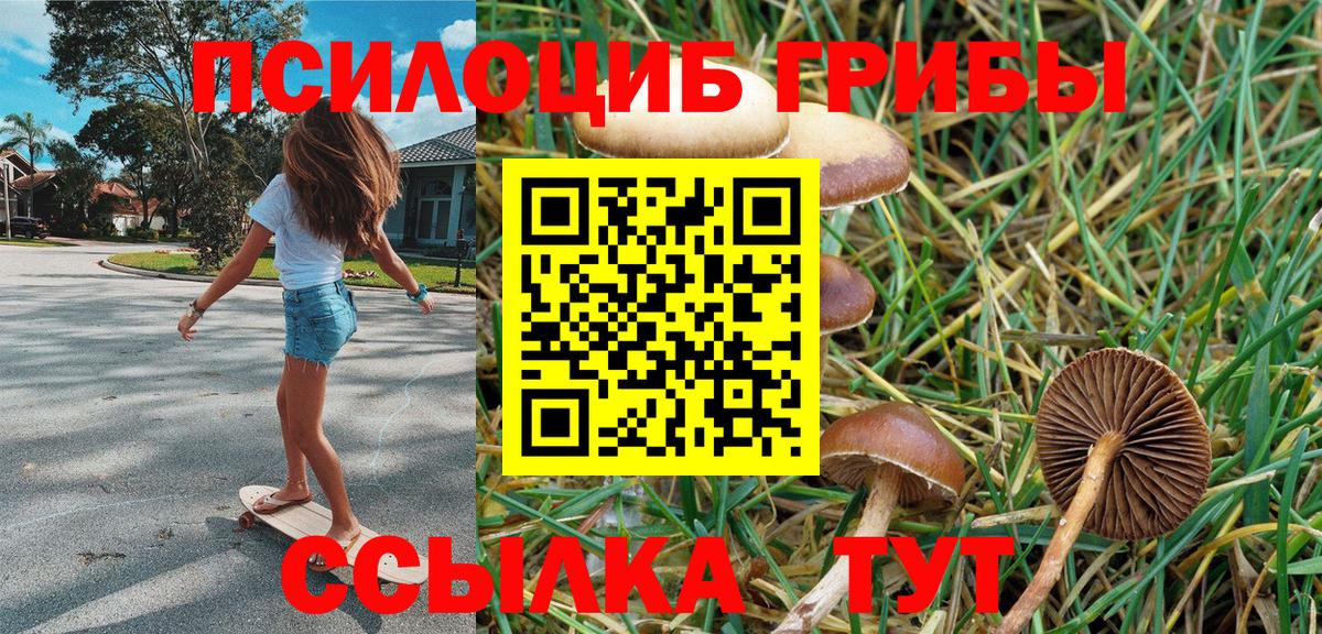 Галлюциногенные грибы мухоморы  Вход с VPN  Протвино 