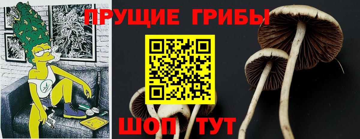 Галлюциногенные грибы MAGIC MUSHROOMS Протвино